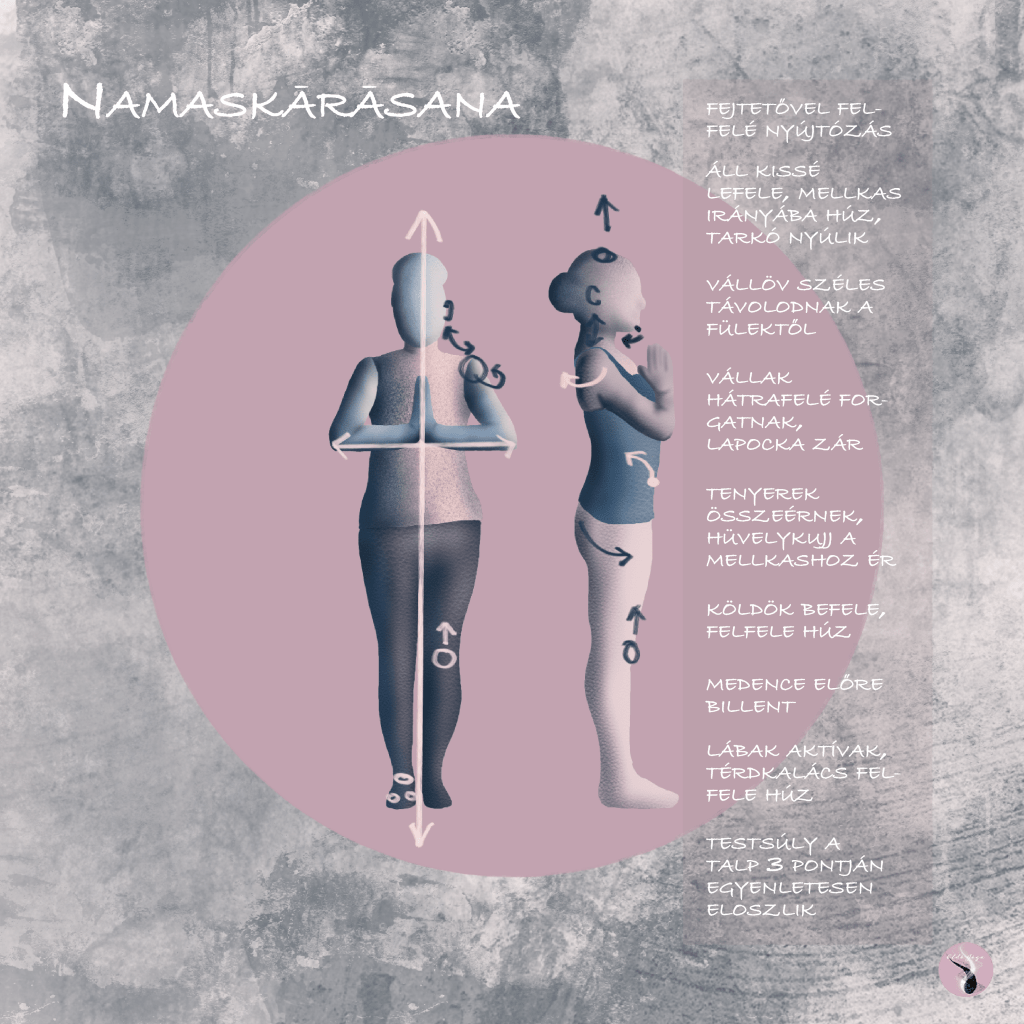 namaskarasana erővonalai, póz felvétele